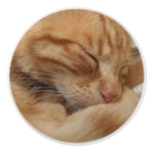 Niedlicher Ingwer-orange Katzen-Aufbereiter-Griffe Keramikknauf
