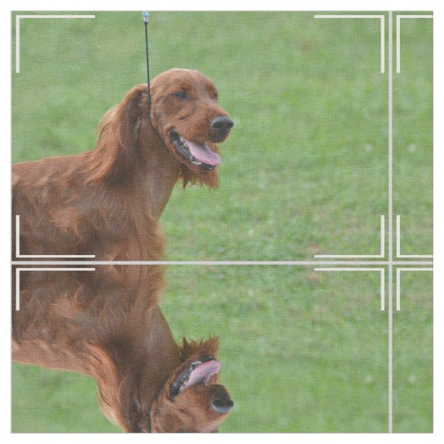 Niedlicher Irischer Setter Stoff (Nahaufnahme)