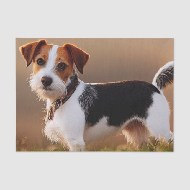 Niedlicher Jack Russel Terrier Dog Foto Seidenpapier (Vorderseite)