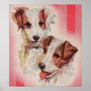 NIEDLICHER Jack Russell Terrier Illustration Poster