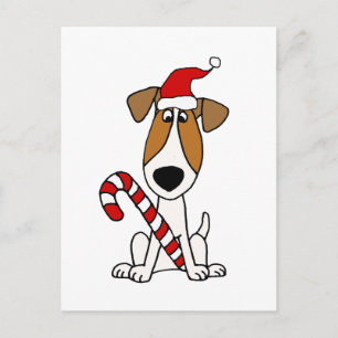 Niedlicher Jack Russell Terrier in der Weihnachtsm Postkarte