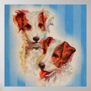 NIEDLICHER Jack Russell Terriers Poster