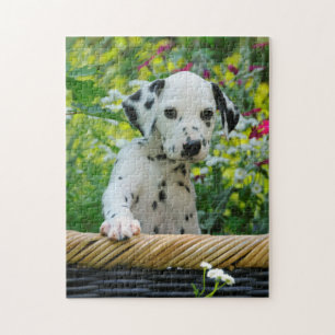 Niedlicher junger Dalmatiner Hund Welpenspiel 11x1 Puzzle