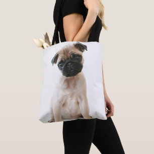 Niedlicher junger Mops-Hund