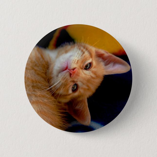 Niedlicher Kätzchen-Knopf Button (Vorderseite)