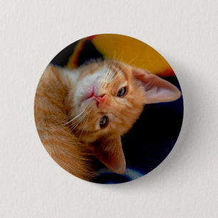 Niedlicher Kätzchen-Knopf Button