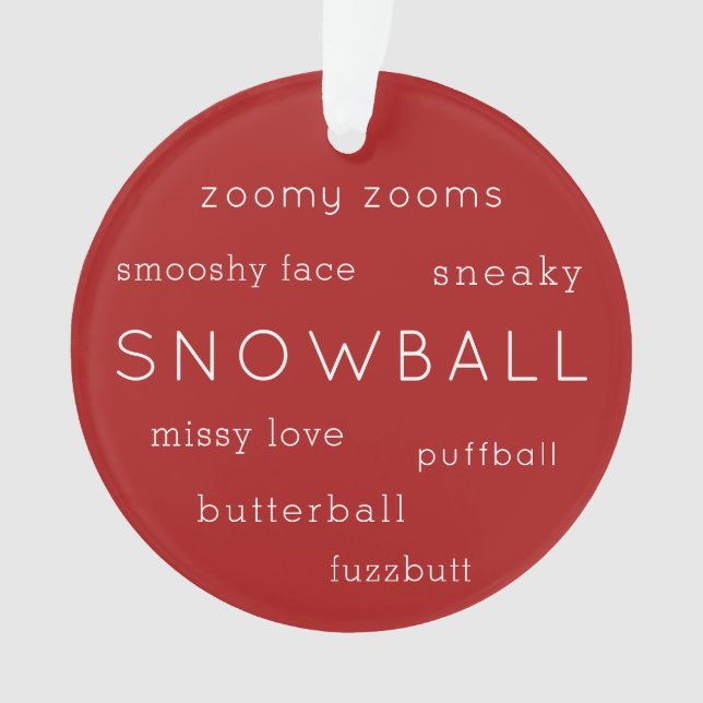 Niedlicher Katzen Hund Haustier Foto Mehrfache lus Ornament (Vorderseite)