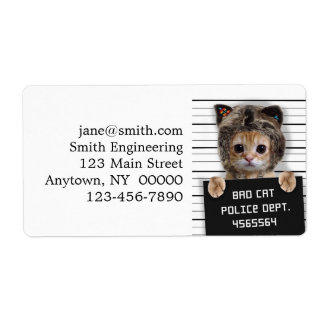 Niedlicher Katzenbold