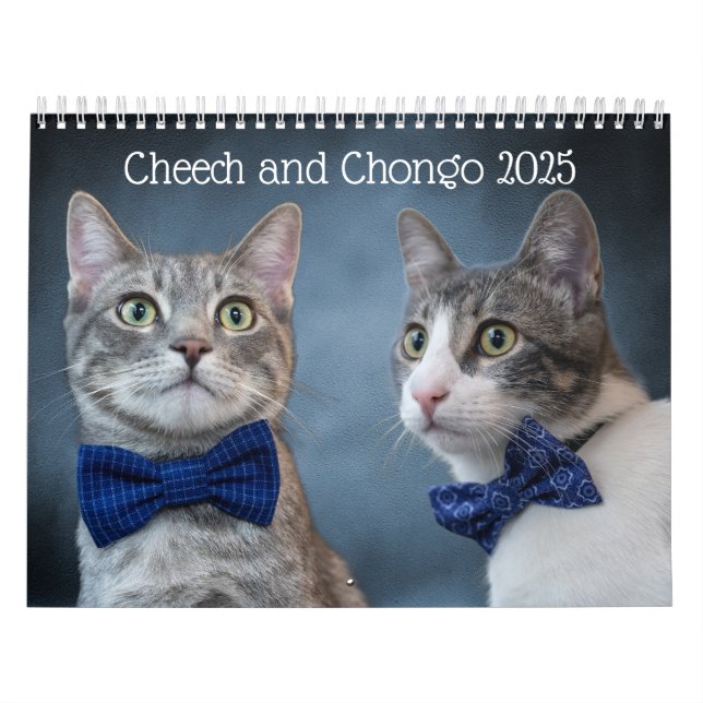Niedlicher Katzenkalender Kalender (Titelbild)