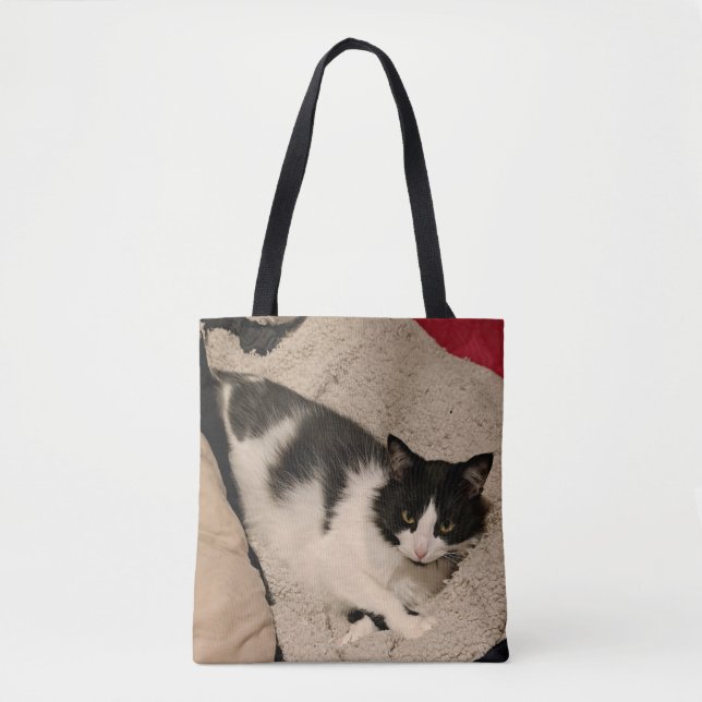 Niedlicher Katzenspielbeutel (Vorderseite)