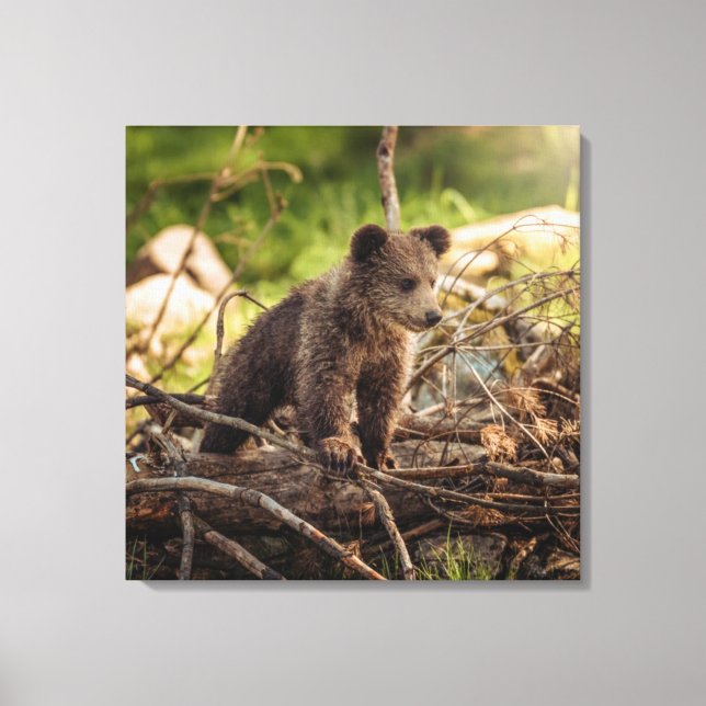 Niedlicher Kinderbär in Woods Leinwanddruck (Vorderseite)