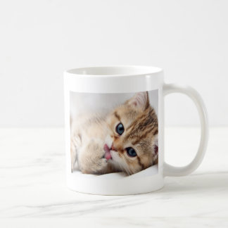 NIEDLICHER KITTY TASSE