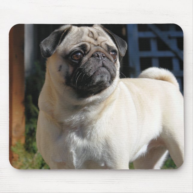 Niedlicher Kitz-Mops Mousepad (Vorne)