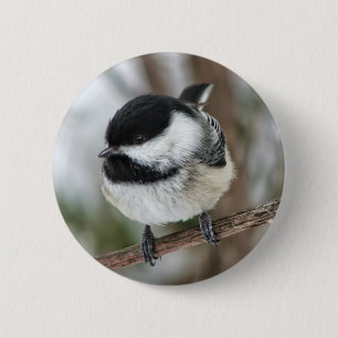 Niedlicher kleiner Chickadee Button