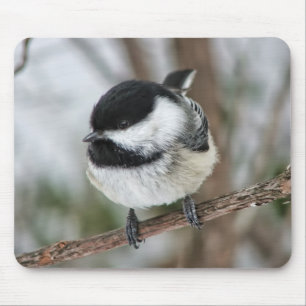 Niedlicher kleiner Chickadee Mousepad