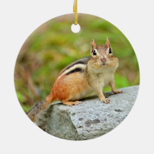 Niedlicher kleiner Chipmunk, der auf einem Felsen Keramikornament