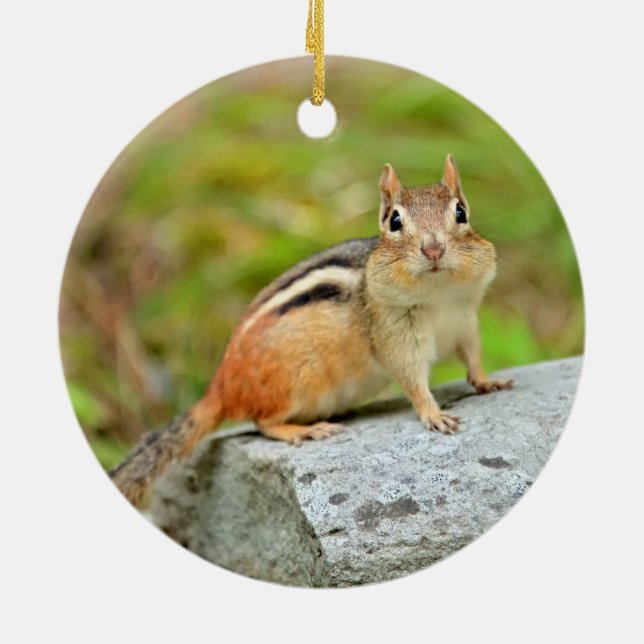 Niedlicher kleiner Chipmunk, der auf einem Felsen Keramikornament (Hinten)