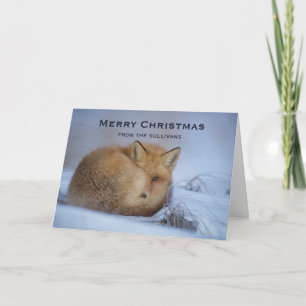 Niedlicher kleiner Fox knurrte Foto Weihnachten Karte