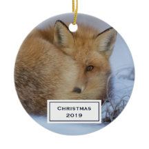 Niedlicher kleiner Fox knurrte Foto Weihnachten