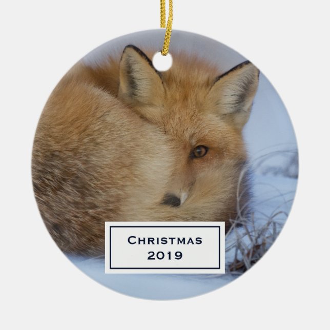Niedlicher kleiner Fox knurrte Foto Weihnachten Keramik Ornament (Vorne)