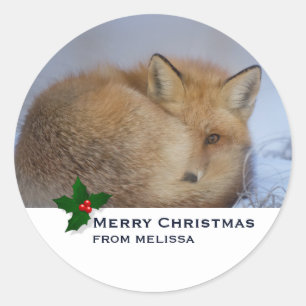 Niedlicher kleiner Fox knurrte Foto Weihnachten Runder Aufkleber