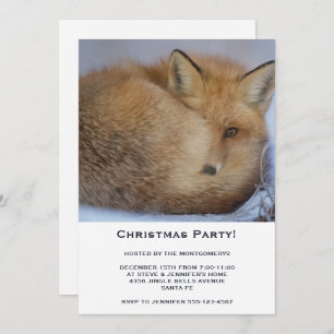 Niedlicher kleiner Fuchs schlug sich in einem Basa Einladung