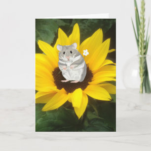 Niedlicher kleiner Hamster in gelber Sonnenblume  Karte