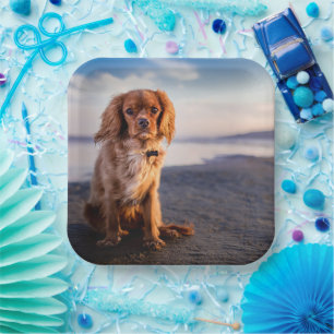 Niedlicher kleiner Hund Pappteller