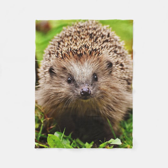 Niedlicher kleiner Igel im Wald Fleecedecke (Vorderseite)