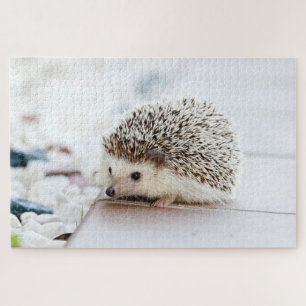 Niedlicher kleiner Igel Puzzle