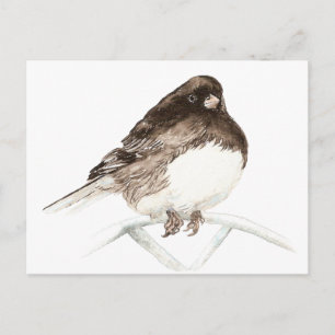 Niedlicher Kleiner Junco, Wasserfarben-Naturvogel Postkarte
