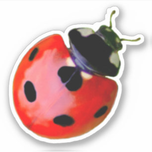 Niedlicher kleiner Ladybug gewährt viel Glück und Aufkleber