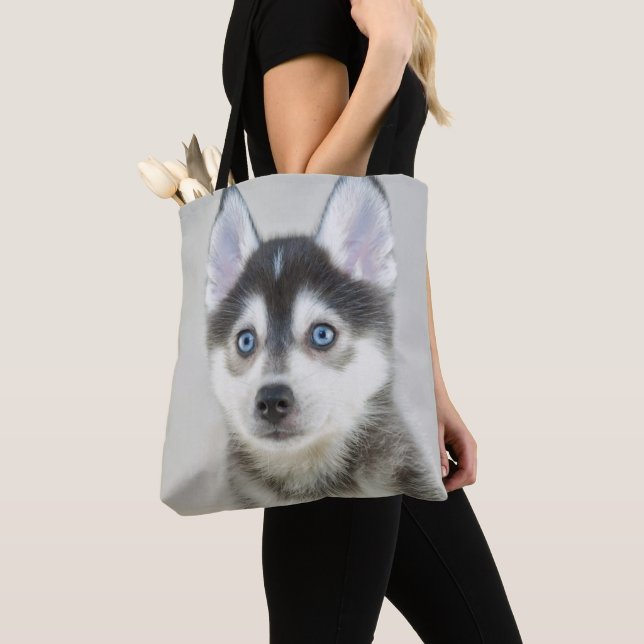 Niedlicher kleiner Pomsky Welpe (Von Nahem)
