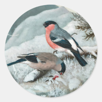 Niedlicher kleiner Vogel, Bullfinch, Art Runder Aufkleber