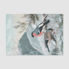 Niedlicher kleiner Vogel, Bullfinch, Art Seidenpapier