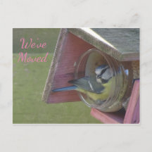 Niedlicher kleiner Vogel, den wir auf der Postkart