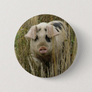 Niedlicher Knopf Button