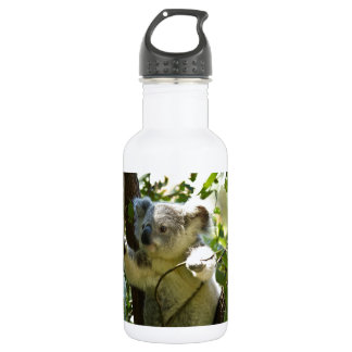 Niedlicher Koala Aussi Outback Safari-Zoo-Park Trinkflasche