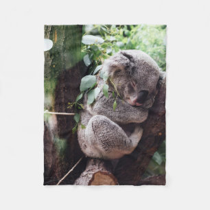 Niedlicher Koala-Bär, der in einem Baum sich Fleecedecke