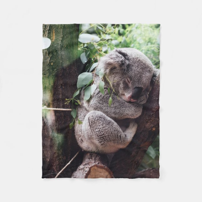 Niedlicher Koala-Bär, der in einem Baum sich Fleecedecke (Vorderseite)