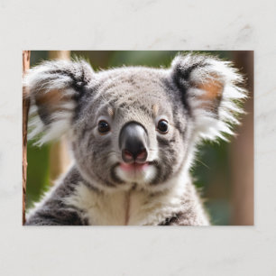 Niedlicher Koala-Bär Feiertagspostkarte