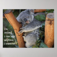 Niedlicher Koala Bär, ich bin im Ruhestand, ich ka