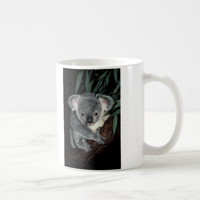 Niedlicher Koala-Bär Kaffeetasse (Rechts)