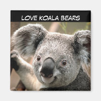 Niedlicher Koala-Bär
