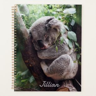 Niedlicher Koala Bären Tierfreunde jährlich Planer