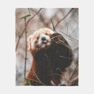 NIEDLICHER KOALA BEAR FLEECEDECKE