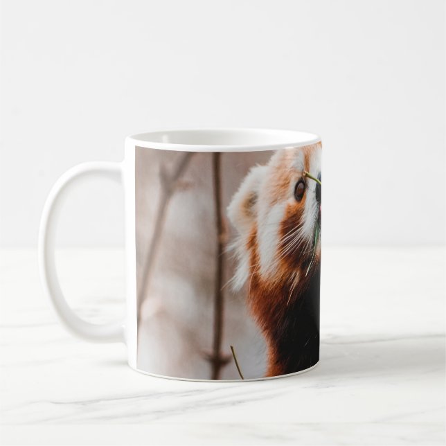 NIEDLICHER KOALA BEAR KAFFEETASSE (Links)
