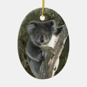 Niedlicher Koala, der einen Baum klettert Keramikornament