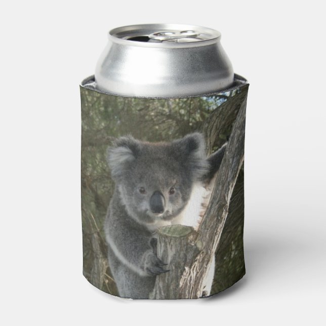 Niedlicher Koala Klettern ein Baum kann kühlen Dosenkühler (Kanne Vorderseite)