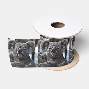 niedlicher Koala Satinband
